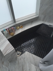 Newton One (D11), Condominium #124396532